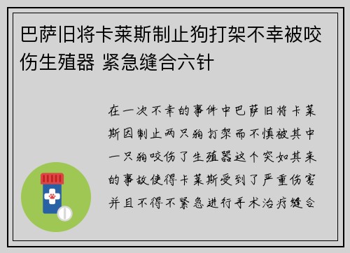 巴萨旧将卡莱斯制止狗打架不幸被咬伤生殖器 紧急缝合六针